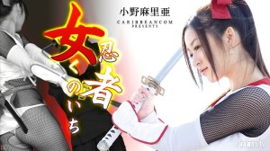 010413-228 女忍者 Kunoichi 小野玛利亚在线观看