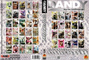 DANDY-106 DANDY 2週年官方完整版崔华全集 - 晶爱丽 (新井爱丽，大泽佑香)在线观看