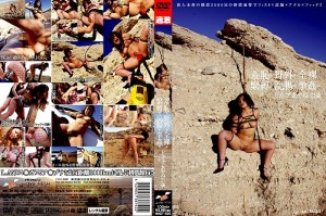 NHDT-625 羞耻+户外+裸体+束缚+灌肠+拳头强姦=F杯绫音21岁在线观看