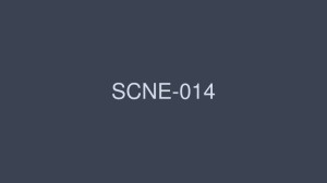 SCNE-014 超级旋风/野野村美雪 - 野々村みゆき在线观看
