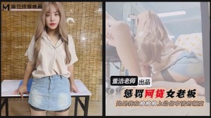 惩罚网贷女老板 这是我在拍拍拍上给你申请的额度